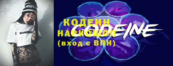 индика Богданович